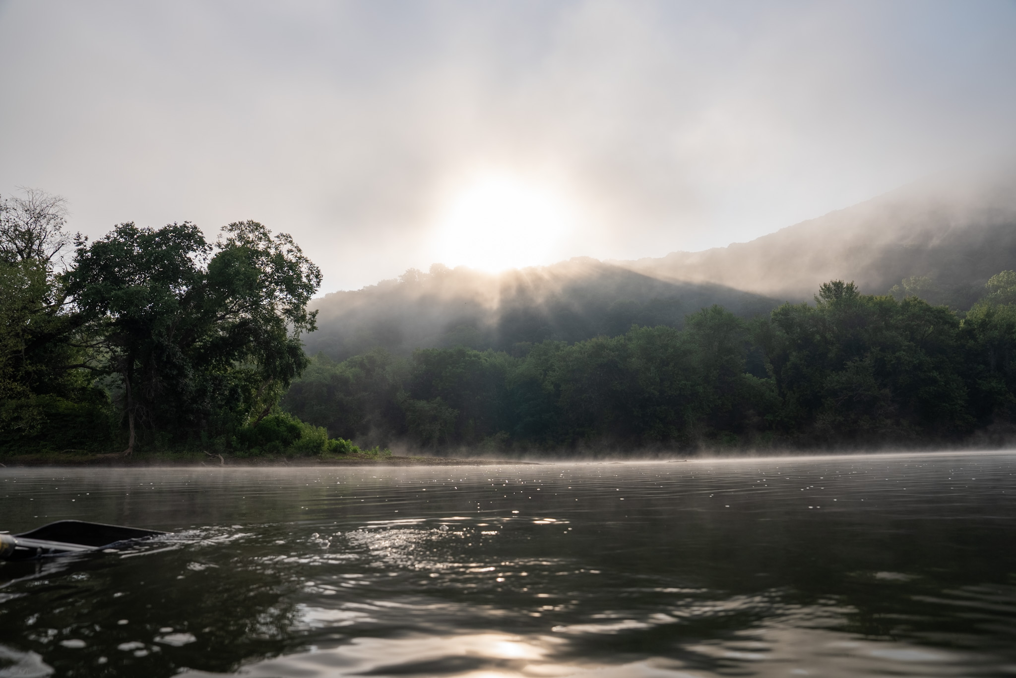 Fog over quiet spring creek trout water